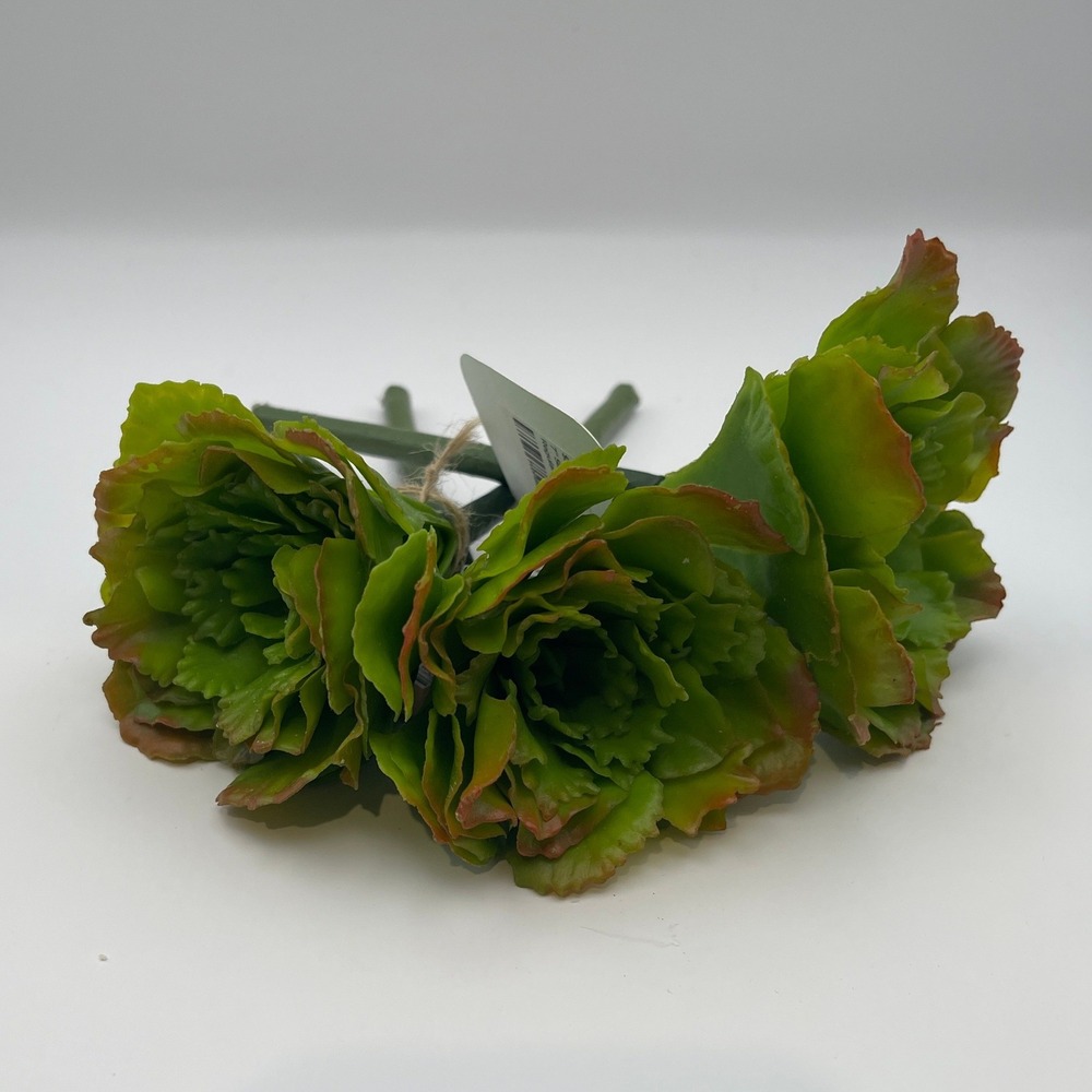 RAZ Imports Green Ruffled Succulent Pick Faux Floral Stem Set of 3 7in 4116039